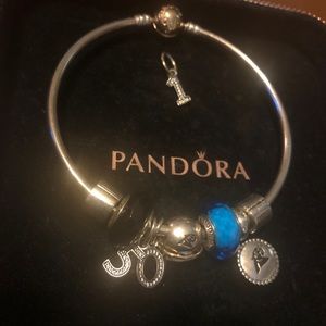 Pandora Bracelet w/ Charms